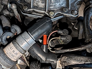 Dateiname=PXL_20260223_155323330.jpg
Dateigröße=1892KB
Abmessungen: 4080x3072
hinzugefügt am: 23. Februar 2026 PXL_20260223_155323330.jpg