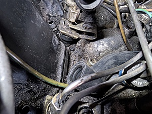 PXL_20260417_142521615.jpg