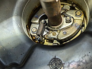PXL_20260506_163707640.jpg